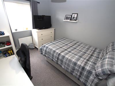Picture 7